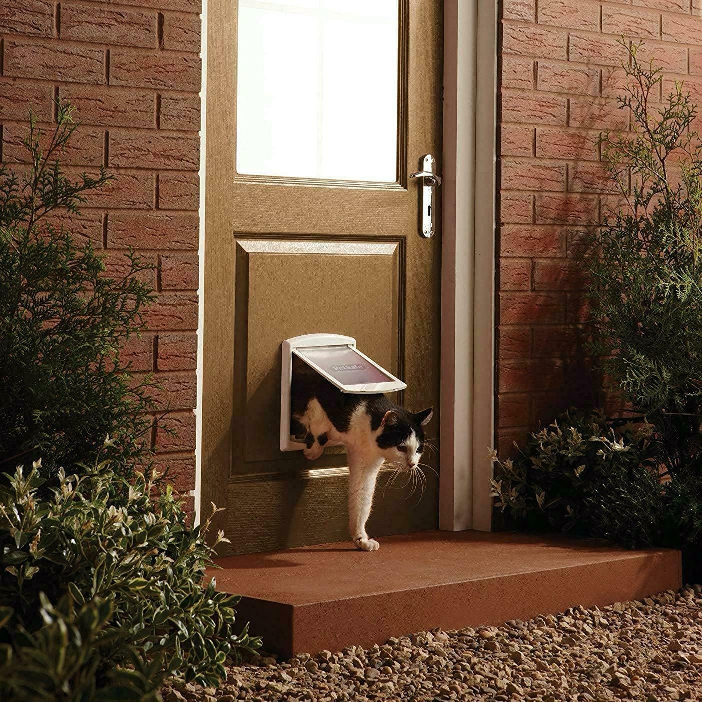 PetSafe Original 2 Way Small Pet Door - White